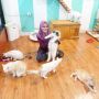 Snowbell Cat Cafe, Menikmati Teh Sambil Bermain dengan Kucing Menggemaskan