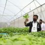 Kementan Genjot Pemanfaatan KUR Agar Lebih Optimal