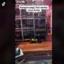 Viral Emak-emak Nambang Bitcoin, Rumah Dipenuh Mesin Cuan Jadi Sorotan