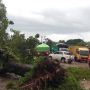 Akibat Hujan Deras, Pohon-Pohon Tumbang di Bantul dan Terjadi Pergerakan Tanah