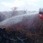 6,5 Hektare Lahan Sawit di Agam Kembali Terbakar, Totalnya 23 Hektare