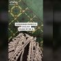 Viral Remaja Dandan ala Outfit Kondangan Demi Nonton Stand By Me Doraemon 2