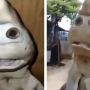 Bayi Hiu Mirip Wajah Manusia: Pertanda Alam dan Berkah yang Harus Disyukuri