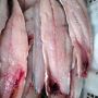 Permintaan Naik! Daging Ikan Gabus Bahan Baku Pempek Dijual Rp95.000 per Kilogram