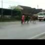 Aksi Prank Bocah Bikin Truk Tabrak Rumah di Jalan, Apes Nasib Sopirnya