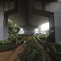 Percantik Kolong Jalan Layang Kebayoran Lama dengan Tanaman Hias