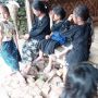 Menempuh Jalan Pikukuh, Cara Warga Adat Baduy Bebas dari Covid-19