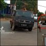 Muatan Mobil Pick Up Mencengangkan, Cara Angkut Kayu Ini Bikin Heran