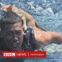 Aksi Penyelamatan Empat Kucing dari Kapal yang Terbakar
