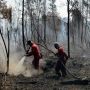 Heli Rusak, Pemadaman via Udara di Cagar Biosfer Giam Siak Kecil Terkendala