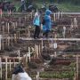 BREAKING NEWS: Lurah Cijantung Haerudin Meninggal karena Covid-19