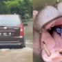 Viral Kuda Nil Dikasih Makan Sampah di Taman Safari Bogor