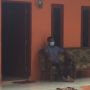 Dua Orang Keluarga TKI Brebes yang Terpapar Virus B117 Positif Covid-19