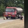 Geger Duel Ayam di Jalan Bikin Macet, Netizen: Ini Abang Jago Aslinya