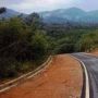 Hutan Adat Terancam: Izin Konsesi Kayu Menggerogoti Identitas Masyarakat Mentawai