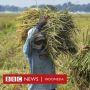 Said Didu Semprot Moeldoko dan Prabowo: Setop Jual Nama Petani