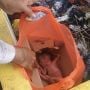 Ada Bunyi 'Kresek..' di Tong Sampah, Ternyata Orok Hidup Dibungkus Plastik