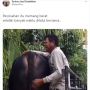 Sedih Mau Dijual, Peternak Peluk Sapi Miliknya sambil Nangis Sesenggukan