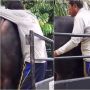 Pria Menangis Sesenggukan Melepas Hewan Peliharaan, Videonya Bikin Nyesek