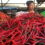 Harga Cabai Tembus Rp110 Ribu Per Kg, Nasi Ponggol Tegal Tak Lagi Pedas