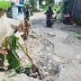 Gara-gara Jalan Rusak, Profil Cijalingan di Wikipedia Jadi Begini