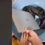 Anak Rendam HP hingga Laptop di Ember, Sikap Sang Ibu Disorot
