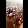 Heboh Warga Serbu Gunung Emas, Ini Kisah di Baliknya