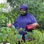 Kebun PKH Lansia Boyolali Jadi Sarana Rekreatif Kurangi Risiko Pikun