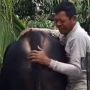 Viral Bapak-bapak Menangis Saat Sapinya Diangkut, Netizen: Hatiku Teriris..