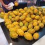 Lebih Manis dan Segar, Yuk Kenalan dengan Buah Naga Kuning