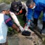Terkuak! Ini Kronologi dan Jenis Kelamin Jasad Bayi di Irigasi Sragen
