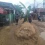 Puncak Protes Warga, Pohon Pisang Dibiarkan Tumbuh di Tengah Jalan