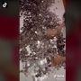Viral Kakak Adik Buka Tabungan Koin Masa Kecil, Terkumpul Rp 10 Juta!