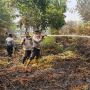 Cerita Pemadaman Karhutla di Bengkalis, Harus Jalan Kaki 2 Jam ke Titik Api