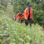 Cerita Lansia 60 Tahun, Tujuh Hari Hilang di Hutan Tamboli