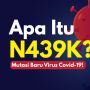 INFOGRAFIS: Apa Itu N439K? Mutasi Baru Virus Covid-19!