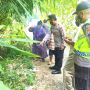 Weladalah! Warga Tuban Nemu Bayi Lucu di Bawah Pohon Bambu Tepi Jalan