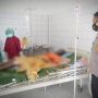 Geger, Perempuan Paruh Baya Nekat Bakar Diri di Tengah Jalan