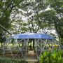 Wisata Alternatif saat Pandemi di Utan Kemayoran