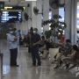 Ledakan Kedatangan WNA India ke Indonesia, Kemenkes Singgung Tugas Imigrasi