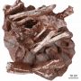 Wow, Fosil Telur dengan Bayi Dinosaurus Ditemukan di China