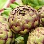4 Manfaat Artichoke yang Menjadi Bahan Dewa Skincare Korea