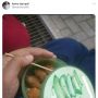 Viral, Kotak Bekal Bekas Skincare Lidah Buaya Bikin Publik Melongo
