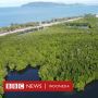 Hari Air Sedunia: Hutan Perempuan Papua, Surga Kecil yang Dirusak Manusia