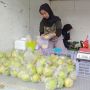 Kumpulan Resep Rujak Jambu Kristal Pinggir Jalan, Ide Usaha saat Lebaran
