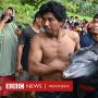 Lumba-lumba Dekati Pantai, Bahkan Hingga Mati, Kenapa Bisa Terjadi?