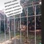 Viral Rumah dan Makam Pedangdut Abiem Ngesti Terbengkalai, Warganet Sedih