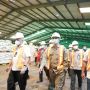 Wamentan: Stok Pupuk Subsidi Cukup