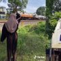 Viral Aksi Cewek-cewek Berhentikan Kereta Api, Warganet Dibuat Kagum