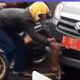 Viral Pemotor Adang Ambulans, Ada Kucing Kejepit Bemper Depan Mobil